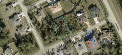 Beach Lot Sale Pending in Palm Coast, Florida