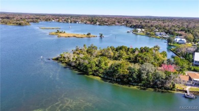 Beach Acreage For Sale in Crystal River, Florida