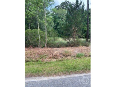 Beach Lot For Sale in Midway, Georgia