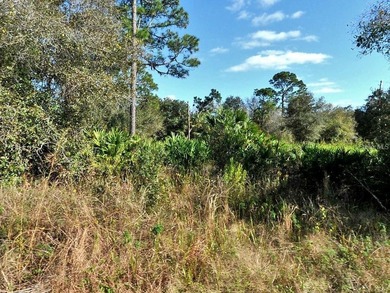 Beach Lot For Sale in North Port, Florida