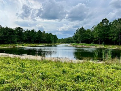 Beach Lot For Sale in Waverly, Georgia