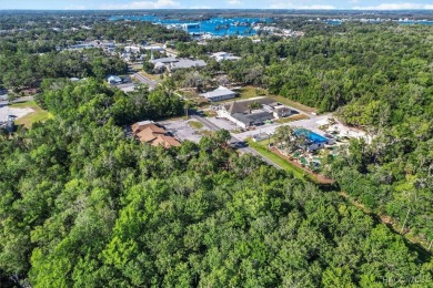 Beach Lot For Sale in Crystal River, Florida