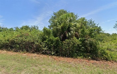 Beach Lot For Sale in Port Charlotte, Florida