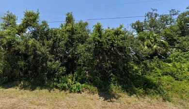 Beach Lot For Sale in Port Charlotte, Florida