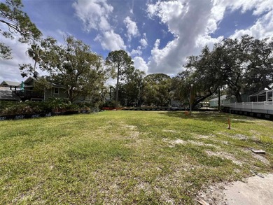 Beach Lot For Sale in Crystal Beach, Florida