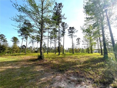 Beach Lot For Sale in Brunswick, Georgia