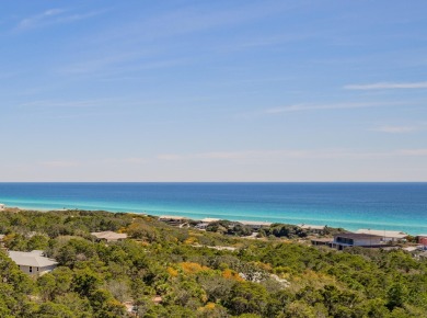 Beach Condo For Sale in Miramar Beach, Florida