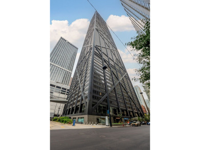 Beach Condo For Sale in Chicago, Illinois