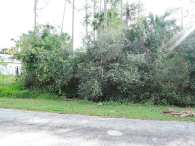 Beach Lot For Sale in Fort Pierce, Florida