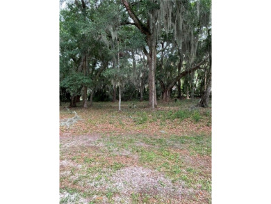 Beach Lot For Sale in Saint Simons, Georgia