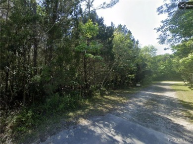 Beach Lot For Sale in Homosassa, Florida