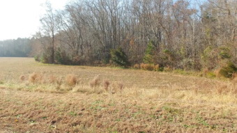 Beach Acreage Off Market in Jamesville, Virginia