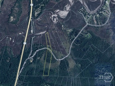 Beach Acreage For Sale in Townsend, Georgia