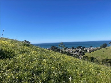 Beach Lot For Sale in Cayucos, California