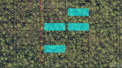 Beach Lot For Sale in Milton, Florida