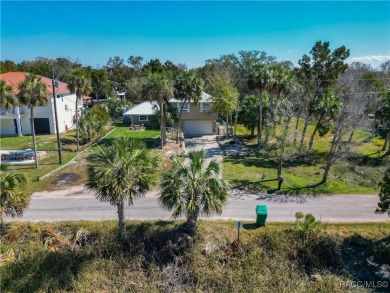 Beach Home For Sale in Homosassa, Florida