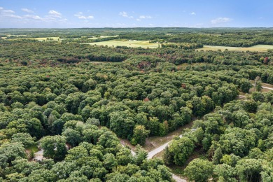 Beach Lot For Sale in Mears, Michigan