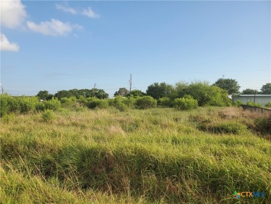 Beach Lot For Sale in Seadrift, Texas