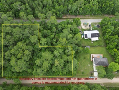 Beach Lot For Sale in Bay Saint Louis, Mississippi