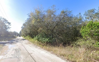 Beach Lot For Sale in New Port Richey, Florida