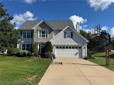 Beach Home For Sale in Avon Lake, Ohio