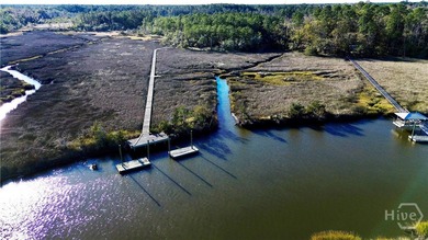 Beach Acreage For Sale in Townsend, Georgia