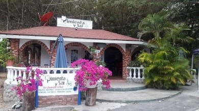 Beach Commercial For Sale in Panama City, 