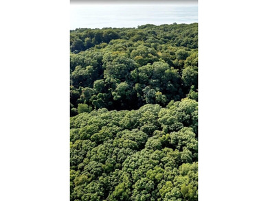 Beach Acreage For Sale in Grand Haven, Michigan