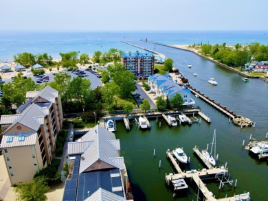 Beach Condo For Sale in Saint Joseph, Michigan