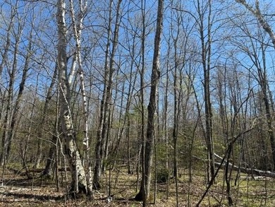 Beach Acreage For Sale in Ellison Bay, Wisconsin