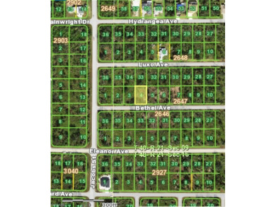 Beach Lot For Sale in Port Charlotte, Florida