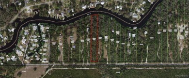 Beach Acreage For Sale in Inglis, Florida