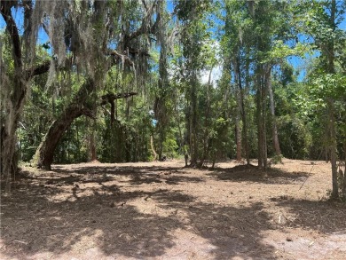 Beach Lot For Sale in Waverly, Georgia