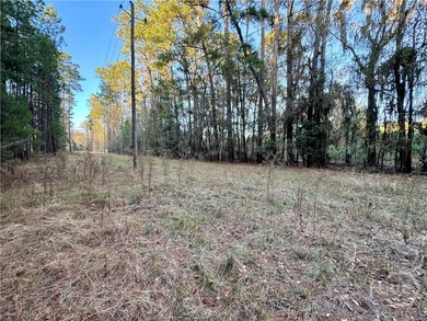 Beach Acreage Active Under Contract in Savannah, Georgia