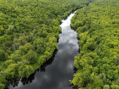 Beach Acreage For Sale in Carp Lake, Michigan