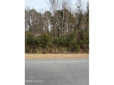 Beach Lot For Sale in Newport, North Carolina