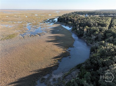 Beach Acreage Active Under Contract in Midway, Georgia