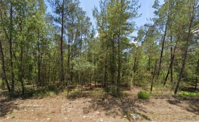 Beach Lot For Sale in Homosassa, Florida