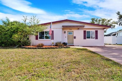Beach Home For Sale in St. Petersburg, Florida