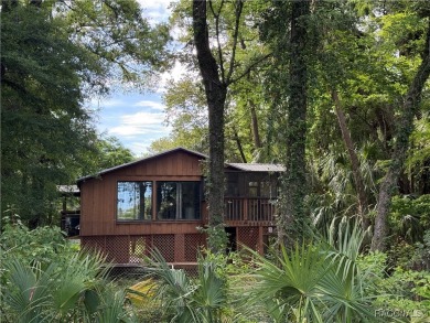 Beach Home For Sale in Yankeetown, Florida