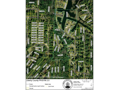 Beach Acreage For Sale in Midway, Georgia