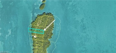 Beach Lot For Sale in Cayo Costa, Florida