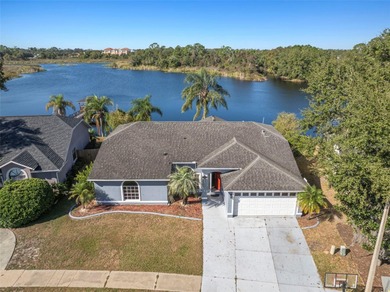 Beach Home Sale Pending in Land O Lakes, Florida
