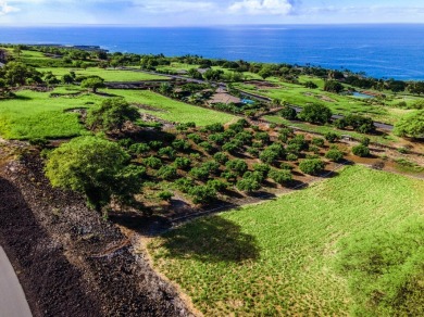 Beach Lot Off Market in Kealakekua, Hawaii