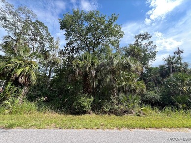 Beach Lot For Sale in Homosassa, Florida