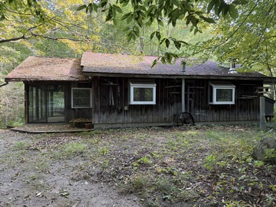 Beach Home For Sale in South Haven, Michigan