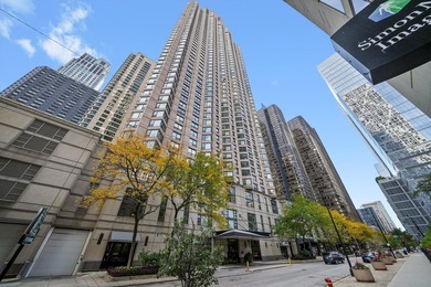 Beach Condo For Sale in Chicago, Illinois
