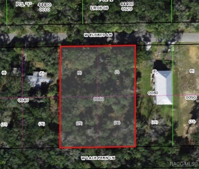 Beach Lot For Sale in Homosassa, Florida