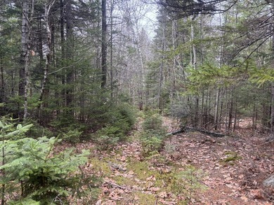 Beach Acreage For Sale in Steuben, Maine