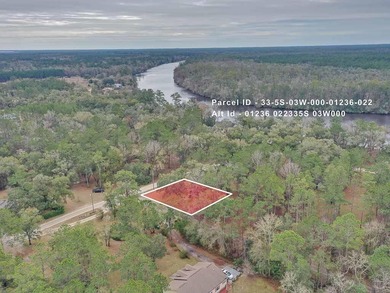 Beach Lot For Sale in Sopchoppy, Florida